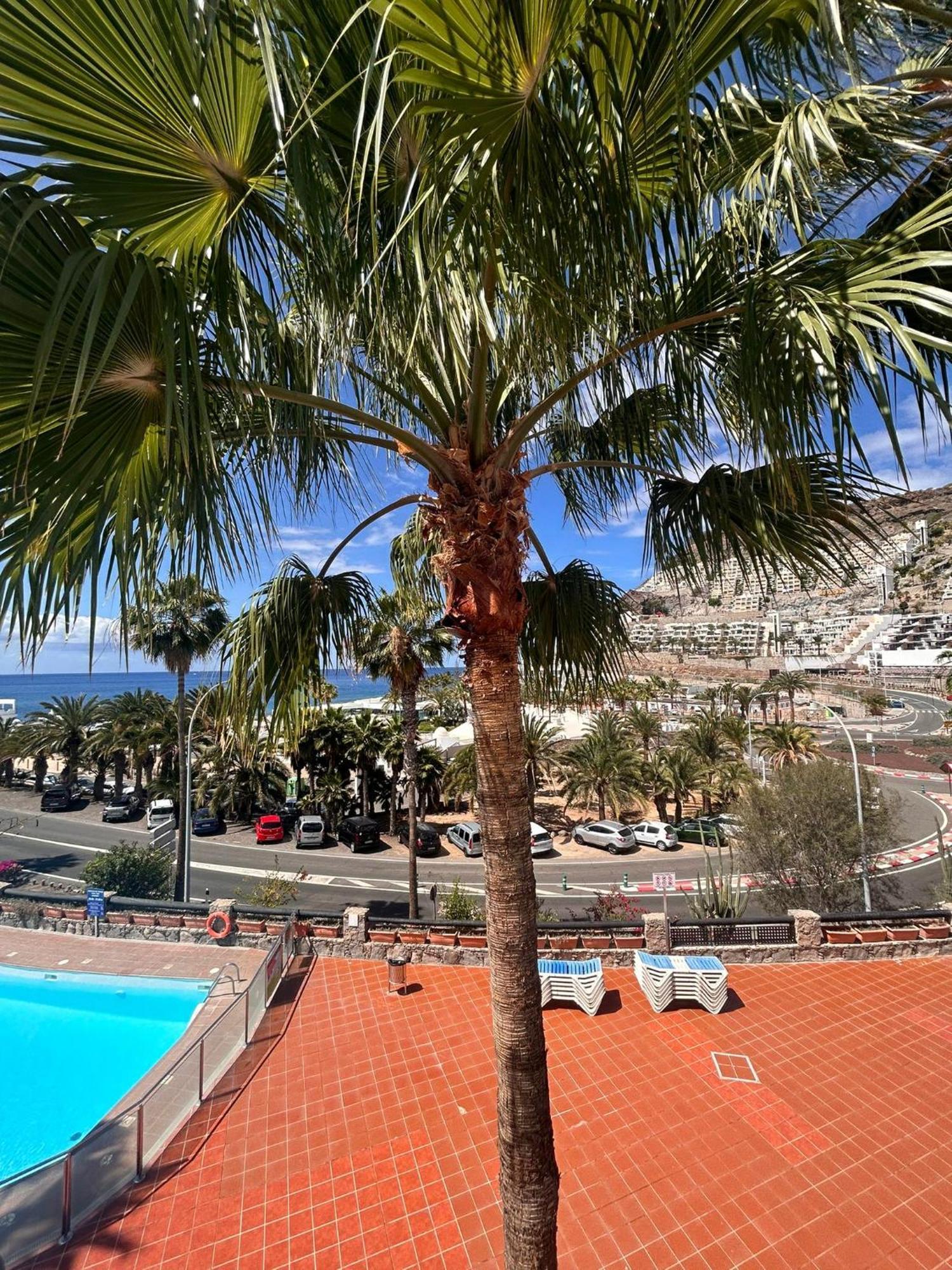 Bluejay Apartamento Playa Del Cura Playa Del Cura  Zewnętrze zdjęcie